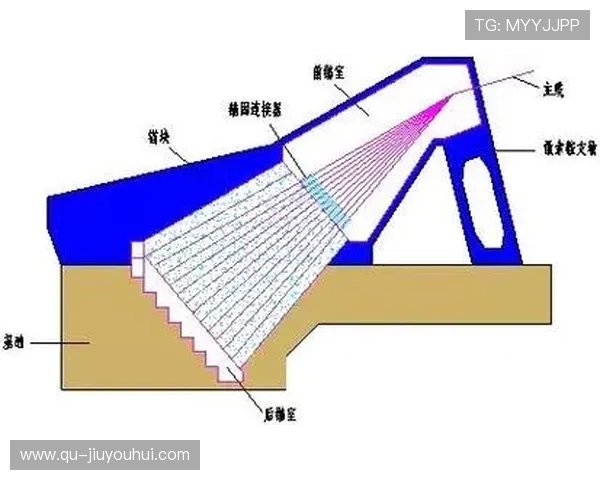 黑麦草专业足球场建设与维护技术研究及应用探索